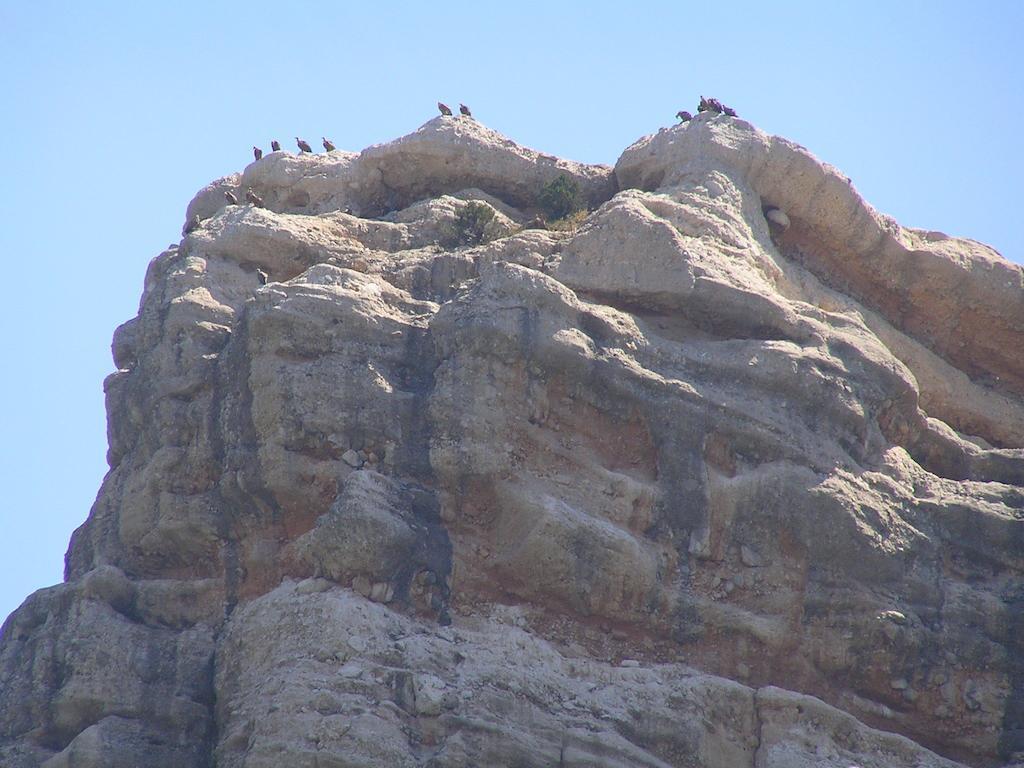 Peñarroya de Tastavins Mas De Nofre旅馆 外观 照片